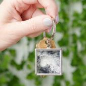 海の熱帯ストームカリブのイダ2 キーホルダー (手)