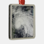 海の熱帯ストームカリブのイダ2 メタルオーナメント (右)