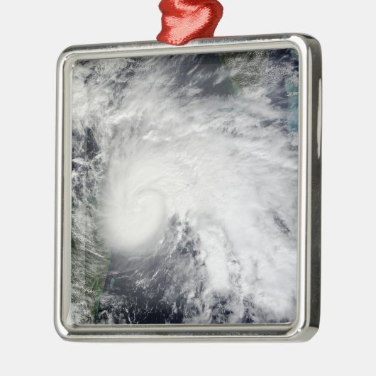 海の熱帯ストームカリブのイダ2 メタルオーナメント (左)