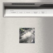 海の熱帯性嵐のカリブのグスタフ マグネット (インサイチュ (食洗機))