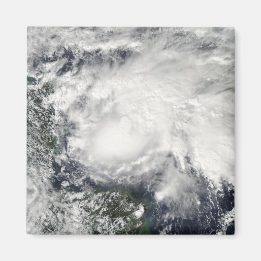 海の熱帯性嵐カリブの井田 マグネット (正面)