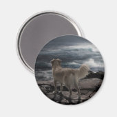 海の犬 マグネット (正面/裏面)