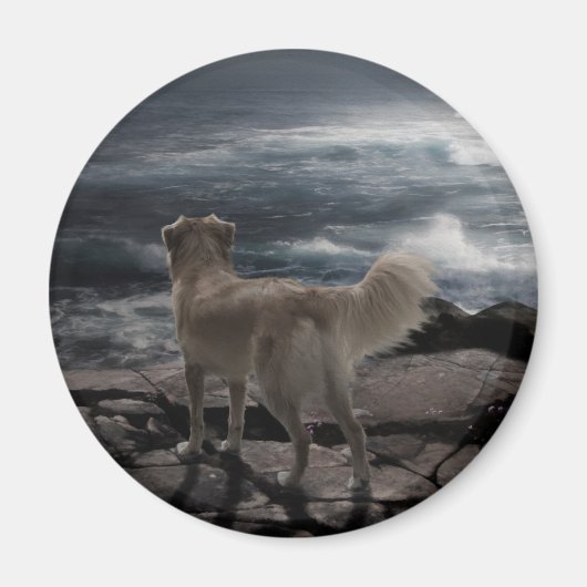 海の犬 マグネット (正面)