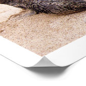 海の獅子はビーチで転んだ後 ポスター (角)