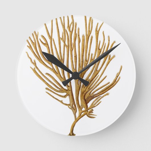 海の珊瑚第12ビーチの沿岸航海のなテーマ ラウンド壁時計 (正面)