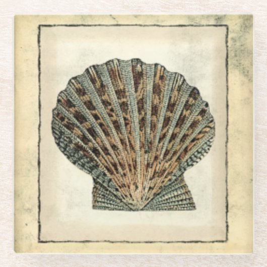 海の生き物たち ガラスコースター (正面)