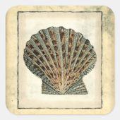 海の生き物たち スクエアシール (正面)