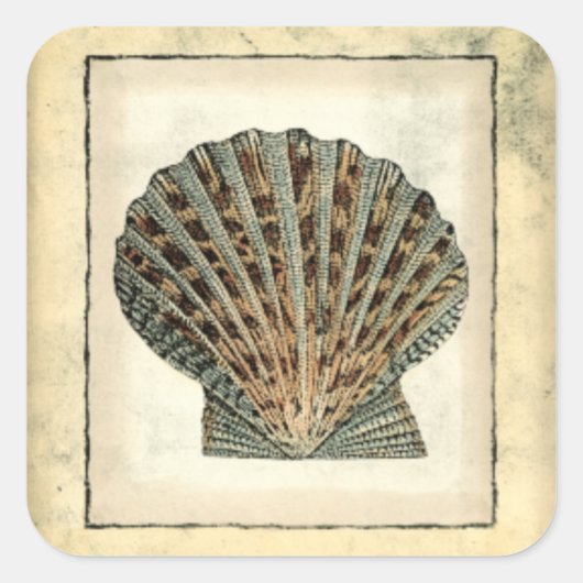 海の生き物たち スクエアシール (正面)