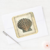 海の生き物たち スクエアシール (封筒)