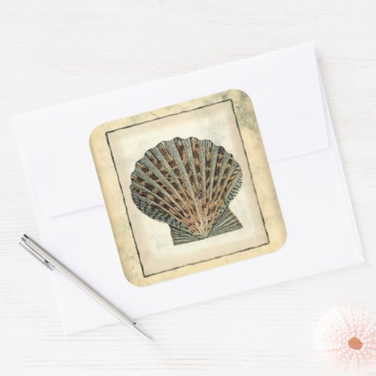 海の生き物たち スクエアシール (封筒)