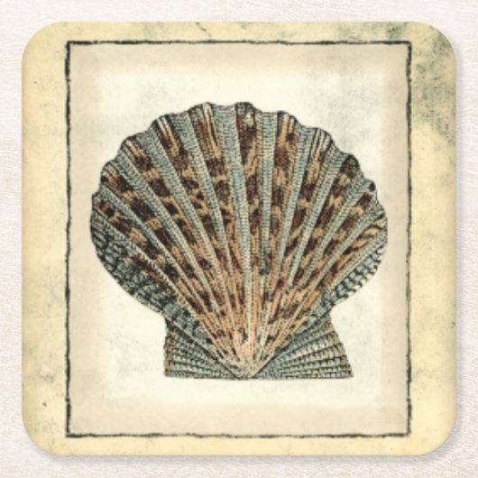 海の生き物たち スクエアペーパーコースター (正面)