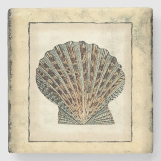 海の生き物たち ストーンコースター (正面)