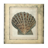 海の生き物たち タイル (正面)