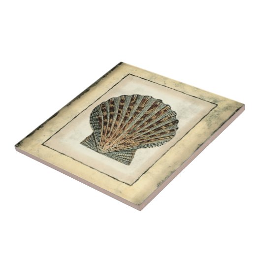 海の生き物たち タイル (側面)