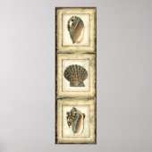 海の生き物たち ポスター (正面)