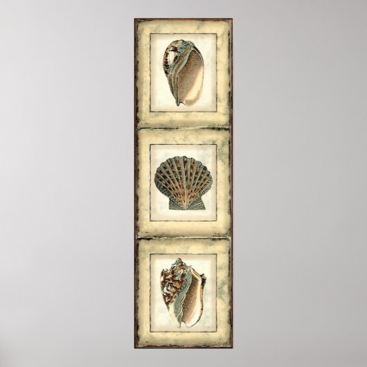 海の生き物たち ポスター (正面)