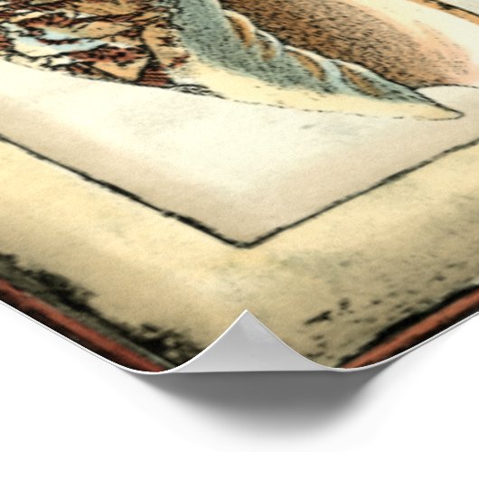 海の生き物たち ポスター (角)