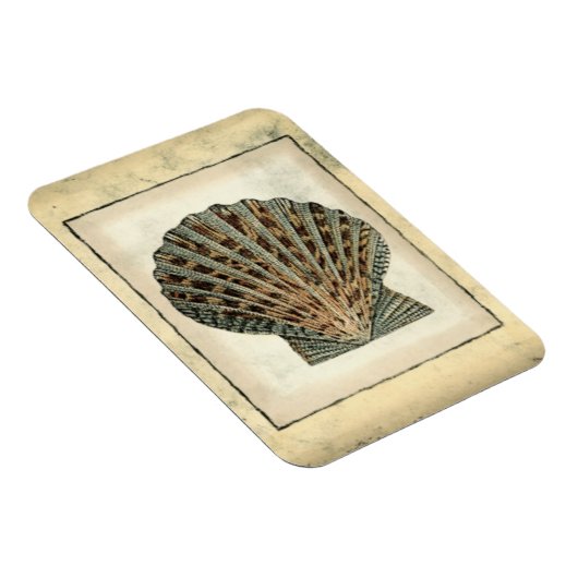 海の生き物たち マグネット (右側)