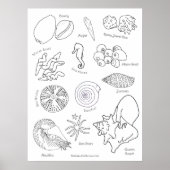 海の生き物 手描き モノクロ ポスター (正面)