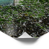 海の生物の鳥瞰図、光沢のあるポスター ポスター (コーナー)