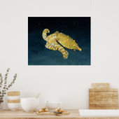 海の生物 - タコ ポスター (キッチン)