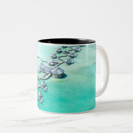 海の生物 ツートーンマグカップ (正面右)