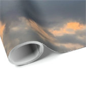 海の生物 ラッピングペーパー (ロールコーナー)