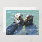 海の男の食べ物を与え母は彼女の子犬 ポストカード (正面/裏面)