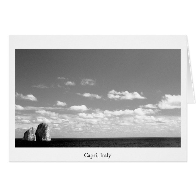 海の石 (正面横)