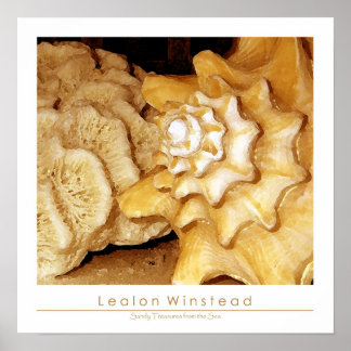 海の砂の宝物 ポスター