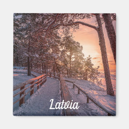 海の磁石の近くの松の森の冬の夕日 マグネット