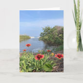 海の空白の花 カード (正面)