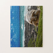 海の端の大きいカメ ジグソーパズル (縦)