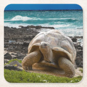 海の端の大きいカメ スクエアペーパーコースター (正面)