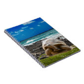 海の端の大きいカメ ノートブック (右側)