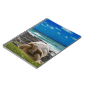 海の端の大きいカメ ノートブック (左側)