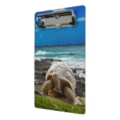 海の端の大きいカメ ミニクリップボード (アングル2)