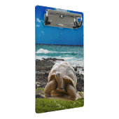 海の端の大きいカメ ミニクリップボード (アングル)