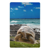 海の端の大きいカメ ミニクリップボード (裏面)