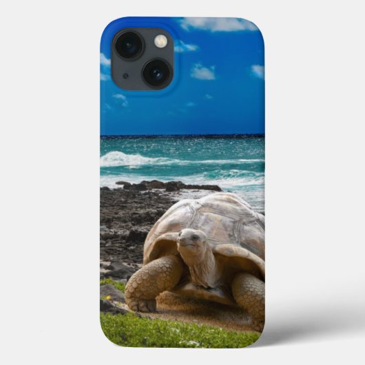海の端の大きいカメ Case-Mate iPhoneケース (裏面)