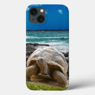 海の端の大きいカメ iPhone 13ケース
