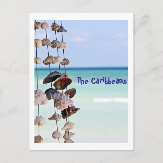 海の背景に貝殻 ポストカード (正面)