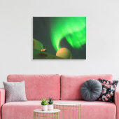 海の船から北の光を浴びる キャンバスプリント (インサイチュ (リビング))