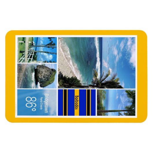 海の見解 マグネット (横)