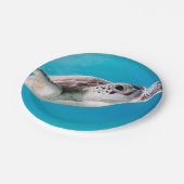 海の豪華なウミガメの水泳 ペーパープレート (アングル)