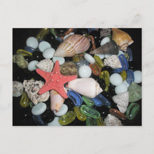 海の貝および石 ポストカード (正面)