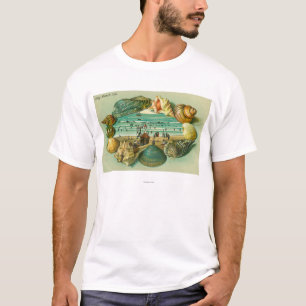 海の貝と縁どられる景色の眺め Tシャツ