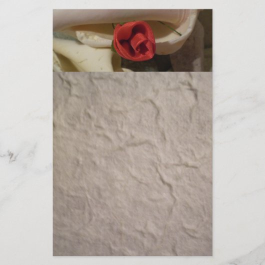 海の貝に上がりました 便箋 (正面)