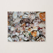 海の貝のパズル ジグソーパズル (横)