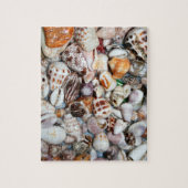 海の貝のパズル ジグソーパズル (縦)